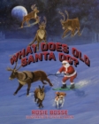 Image for What Does Old Santa Do?