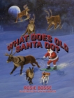 Image for What Does Old Santa Do?