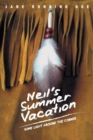 Image for Neil&#39;s Summer Vacation : Some Light Around The Corner