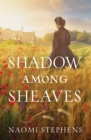 Image for Shadow among sheaves