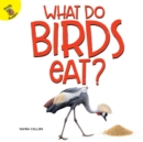 Image for What do birds eat?