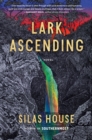 Image for Lark ascending  : a novel