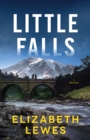 Image for Little falls  : a novel