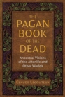 Image for The pagan book of the dead: ancestral visions of the afterlife and other worlds