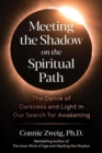 Image for Meeting the shadow on the spiritual path  : the dance of darkness and light in our search for awakening