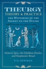 Image for Theurgy  : theory and practice