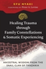 Image for Healing Trauma through Family Constellations and Somatic Experiencing