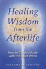 Image for Healing wisdom from the afterlife: how to communicate with the spirit world