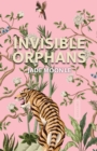Image for Invisible orphans