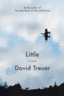 Image for Little : A Novel