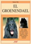 Image for El Groenendael