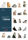 Image for Enciclopedia mundial de gatos