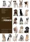 Image for Enciclopedia Mundial De Perros