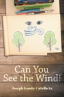 Image for Can You See The Wind!