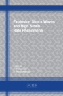 Image for Explosion Shock Waves and High Strain Rate Phenomena
