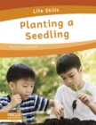 Image for Planting a seedling