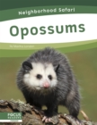Image for Neighborhood Safari: Opossums