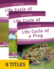 Image for Life Cycles (Set of 8)