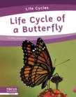 Image for Life cycle of a butterfly