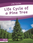 Image for Life cycle of a pine tree