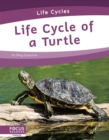 Image for Life Cycles: Life Cycle of a Turtle