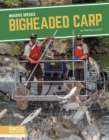 Image for Invasive Species: Bigheaded Carp