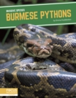 Image for Burmese pythons