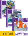Image for Ocean Animals (Set of 8)