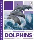 Image for Ocean Animals: Dolphins