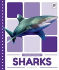 Image for Ocean Animals: Sharks
