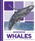 Image for Ocean Animals: Whales