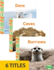 Image for Animal Homes (Set of 6)