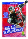 Image for Big air skateboarding
