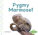 Image for Mini Animals: Pygmy Marmoset