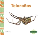 Image for Telaranas (Webs)