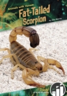 Image for Fat-tailed scorpion