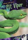 Image for Animals with Venom: Pit Viper