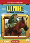 Image for Link  : Legend of Zelda hero