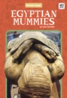 Image for Egyptian mummies