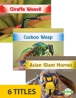 Image for Incredible Insects (Set of 6)