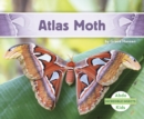 Image for Incredible Insects: Atlas Moth