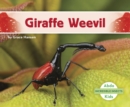 Image for Incredible Insects: Giraffe Weevil