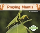 Image for Incredible Insects: Praying Mantis