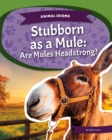 Image for Stubborn as a mule  : are mules headstrong?