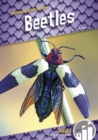 Image for Animals with Armor: Beetles