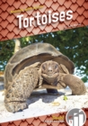 Image for Animals with Armor: Tortoises
