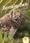 Image for Animal Pranksters: Burrowing Owls