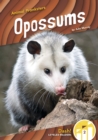 Image for Animal Pranksters: Oppossums