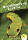 Image for Spicebush swallowtail caterpillars