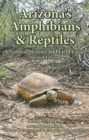 Image for Arizona&#39;s Amphibians &amp; Reptiles